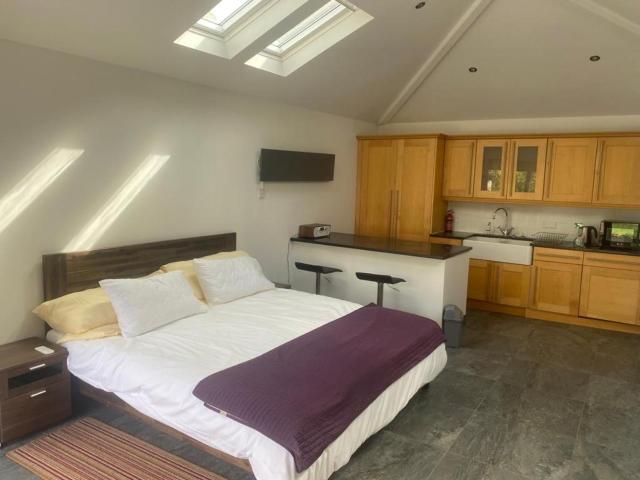 Studio apartment East Dulwich