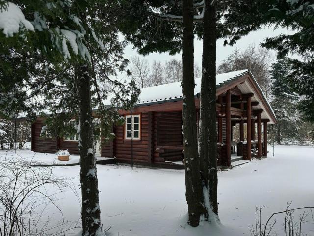 Log Cabin With Cozy Interior Near The Water