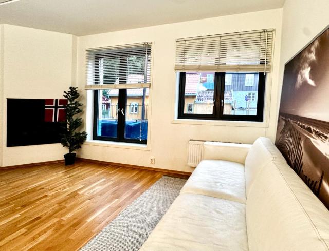 Window To The Most Iconic Old Street Oslo city Apartments with lift and free parking