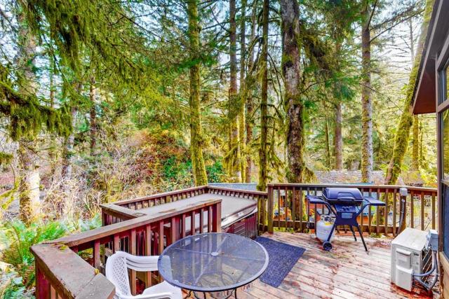 Dog-friendly cabin near beach with private hot tub grill patio streaming AC