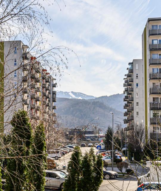 Avangarden Bartolomeu Stay
