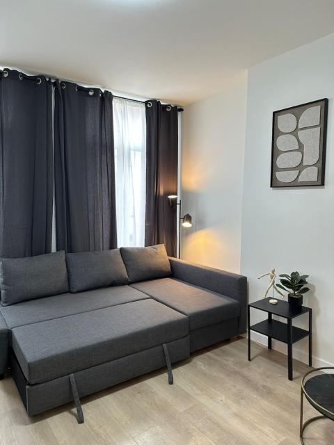 Modern Apt for 4 Near City Center