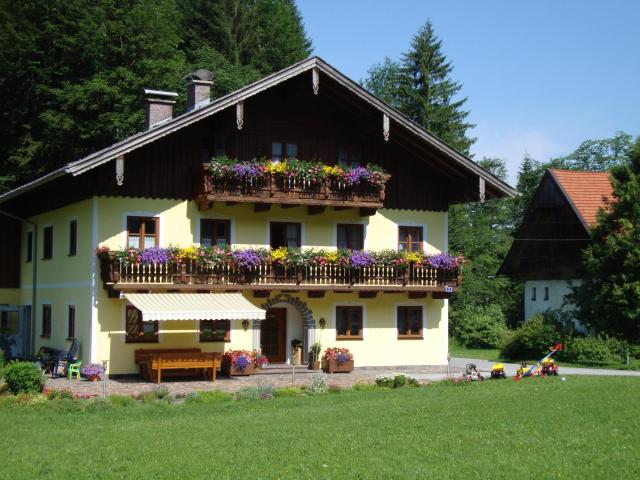 Pferdehof Almgut - Reiten für Kinder, Natur und Erholung nahe Salzburg
