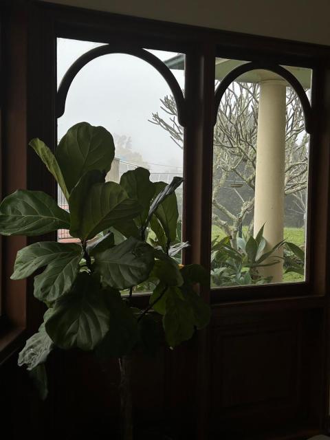 Melville House Bed and Breakfast