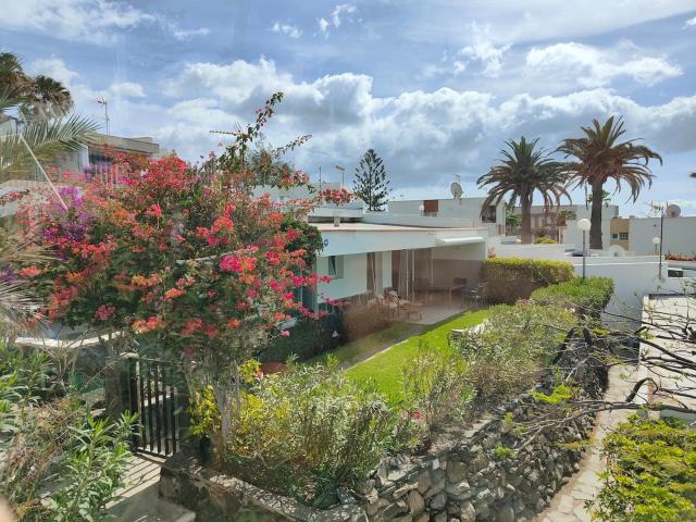 Las Flores 34