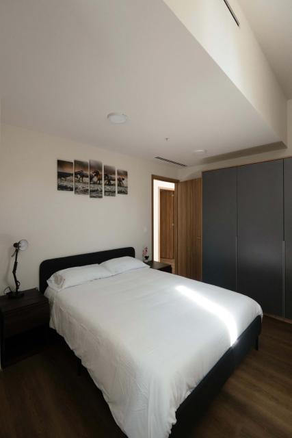 Furnished 2 Bedroom Apartment in Mexico City