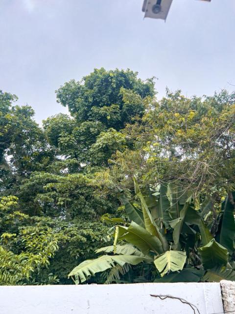 Fica Aki - Hospedagem Alta Floresta