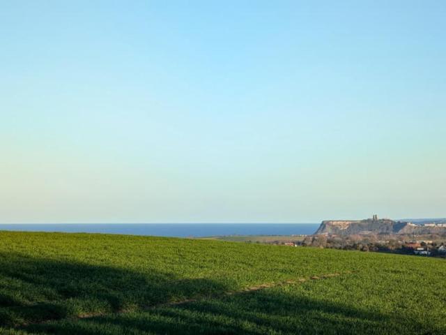Spacious family and pet friendly home with sea views