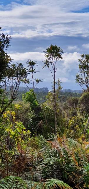 Beaconstone - your perfect kiwi escape