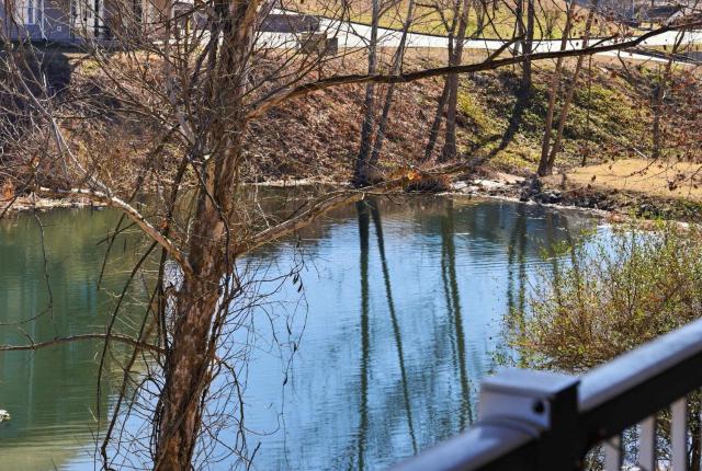 Branson Breeze Escape