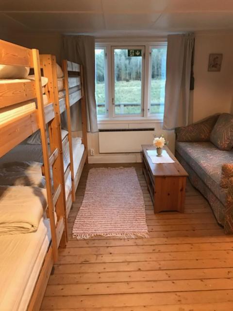 Björsjöås Vildmark - Rooms and small camping cabin close to nature