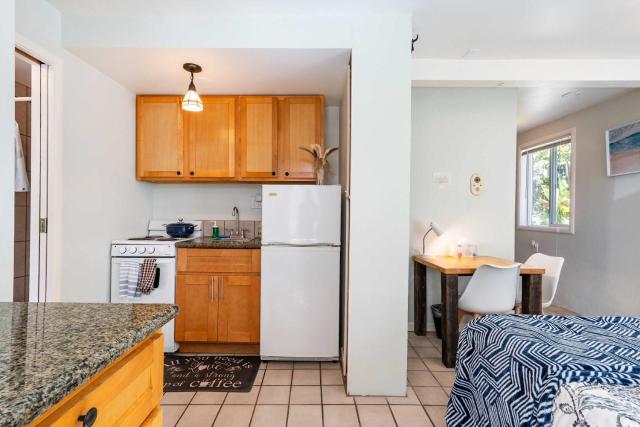 Cozy Garden Studio in North Berkeley - Great Value Near UC & Parks