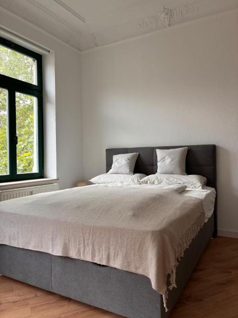 Neues Apartment in Südvorstadt