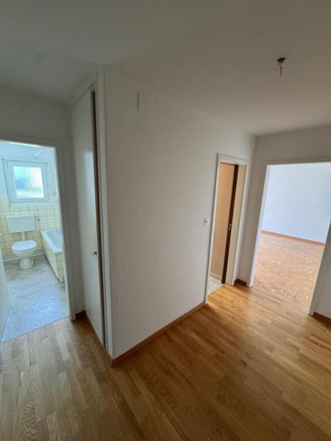 Modern 2-Room Apartment in Zurich - ideal for longterm Stays