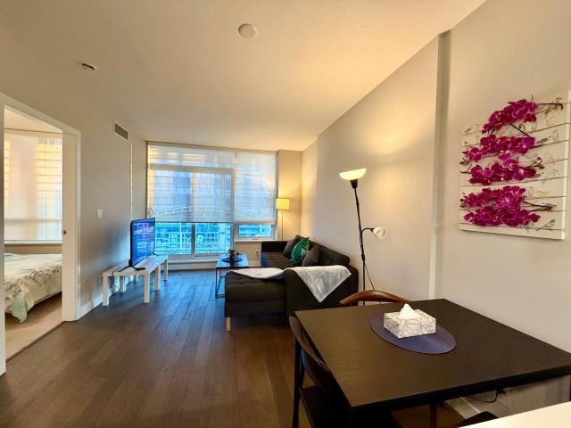 Luxury and cozy 1B1B close to transition