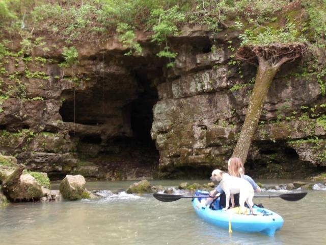Cabin Hilltop C on Meramec River