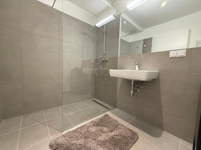 Brand New Modern Apartment