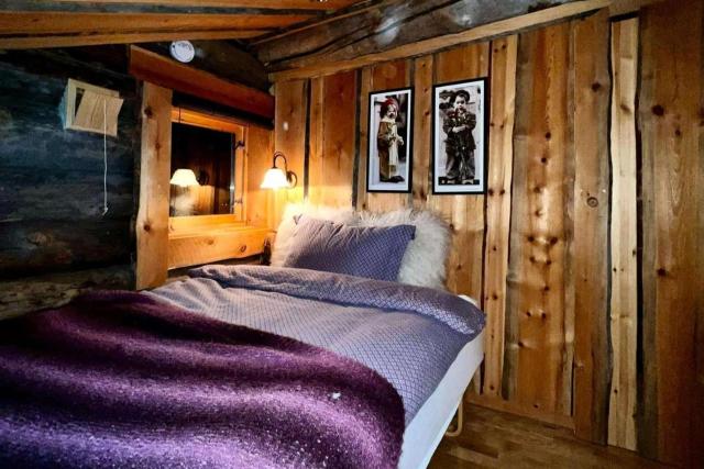 Exclusive Cabin with lovly Northern Lights Views
