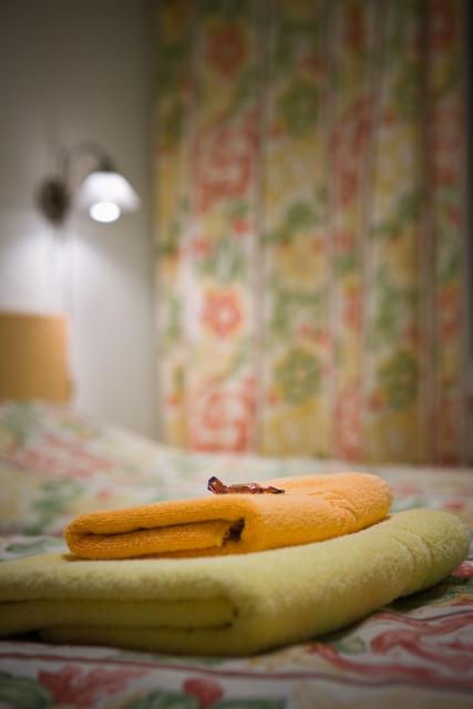 Posti Hostel
