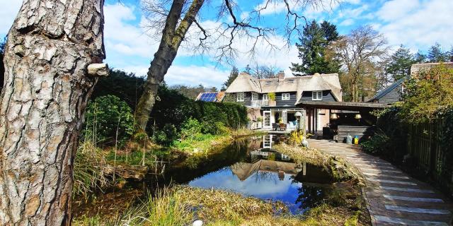 Exclusive forest villa with private spa natural swimming pool
