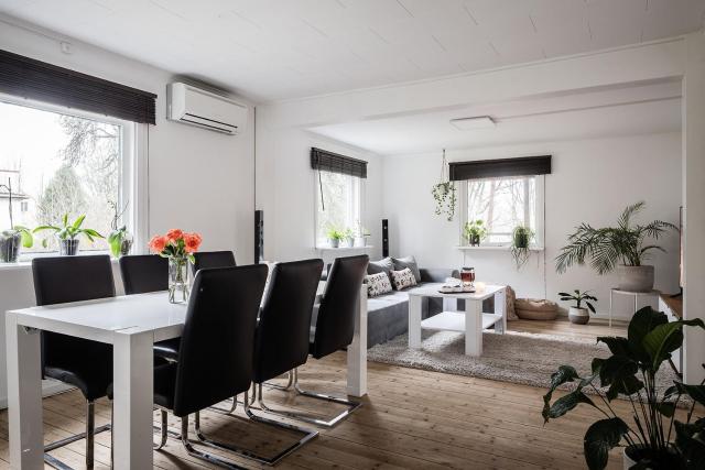 the Little Oasis In Gothenburg