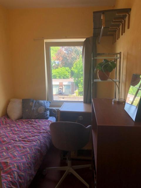 Beethoven Homestay
