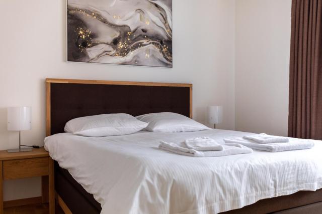 Executive 2BR flat city center - Mainau 11