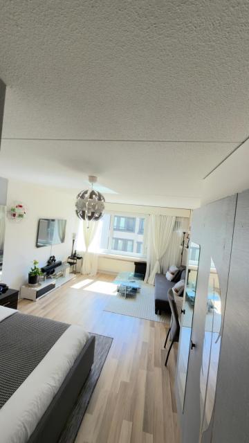 Bright Studio in Heart of Zurich