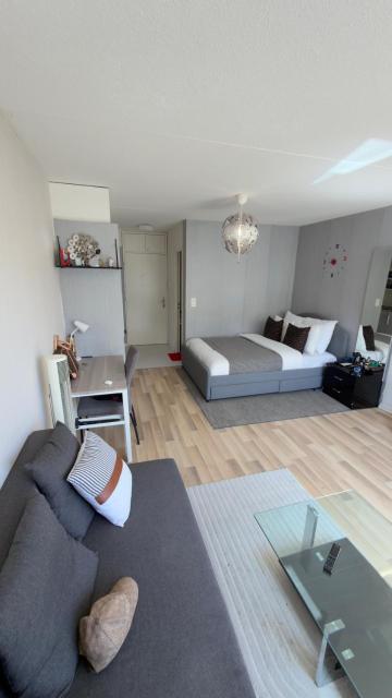 Bright Studio in Heart of Zurich