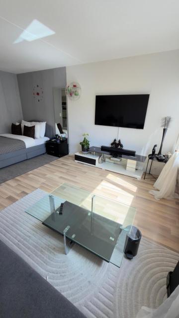 Bright Studio in Heart of Zurich