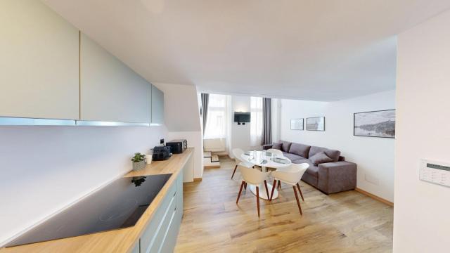 Villanis Loft & Boutique - Torino centro