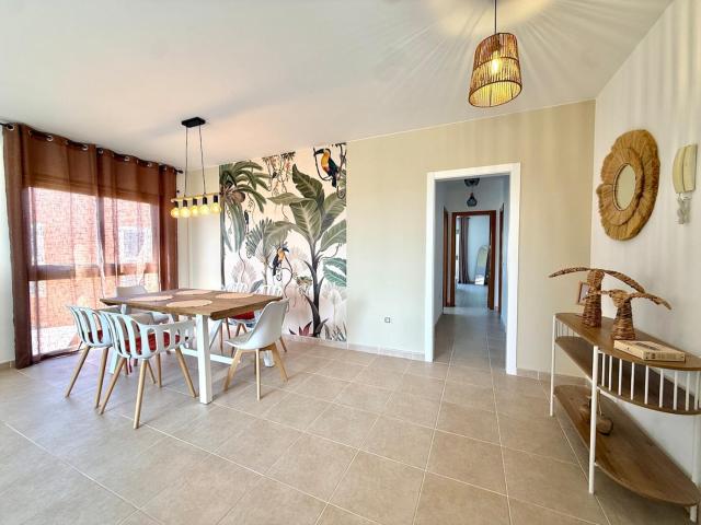 Fantastic oceanfront apartment