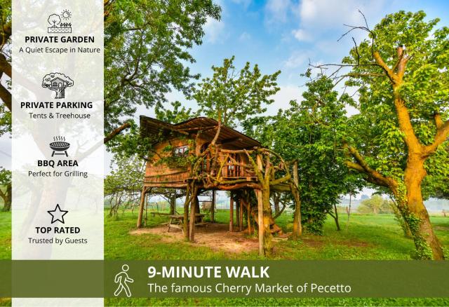 La Casa sull'Albero