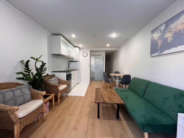 spacious cozy nest in auckland cbd with gym, swiming pool,balcony, parking , city view
