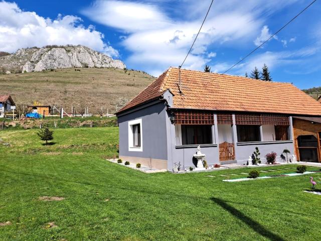 Cabin with Panoramic View of the Vălișoara Gorge