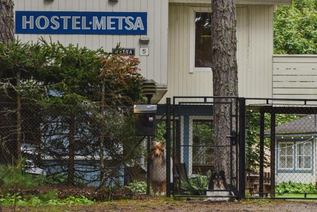 Metsa Hostel