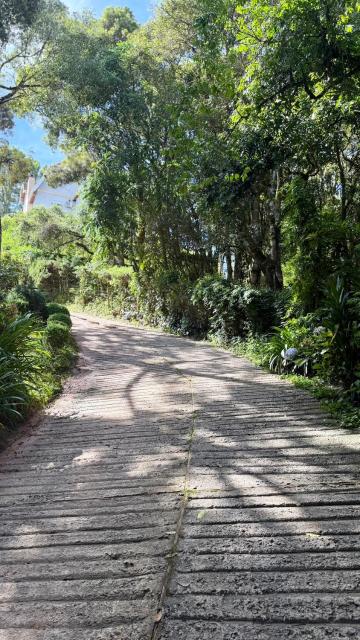 Chalé do Bosque Casa Albuquerque 2 Quartos até 4 Hóspedes