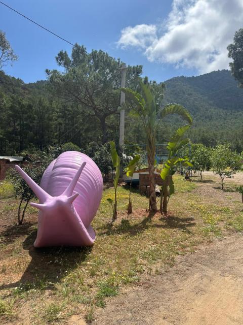 Adrasan Camping