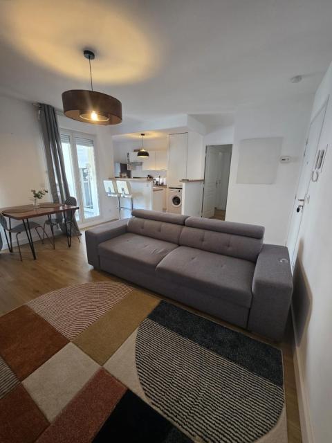 Logement confortable Lyon 3