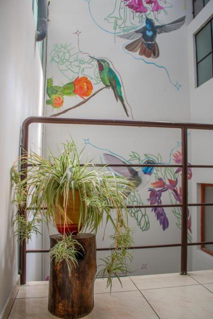 Huaracito Rooms & Lofts