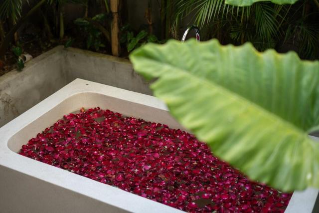 Kayana 4BR Private Villa Pool & Sunset Sky Terrace