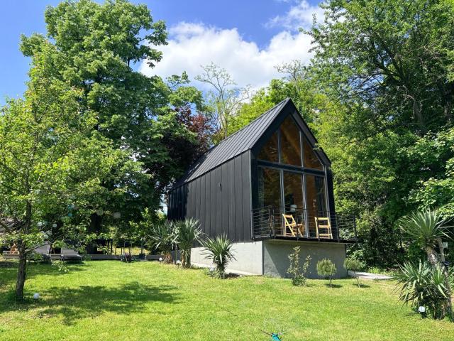 Cabin 16