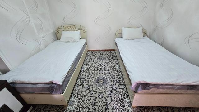Sim-Sim Hostel, Transport and Tours