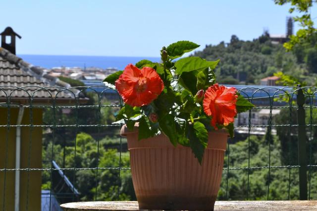 Villa Daria a 2 Km dal mare golfo del Tigullio