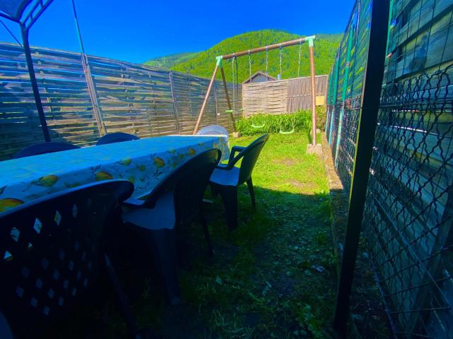 Le refuge Alsace aux pieds des Vosges animaux ok