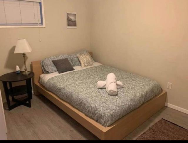 Cozy 2BR Basement Suite - FIFA Ready and Easy Access