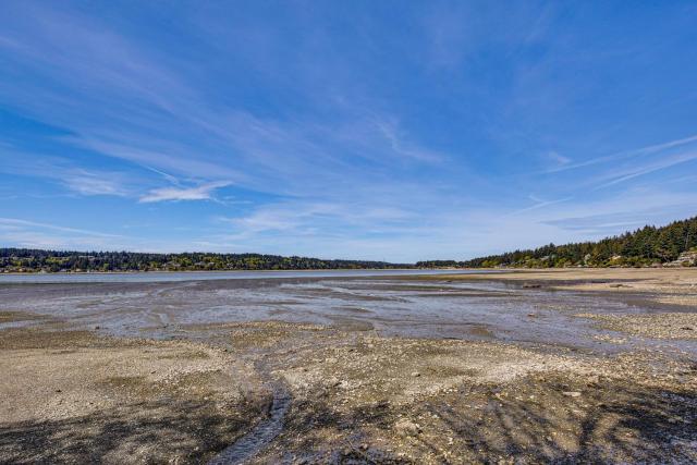 Beach Access Historic Cabin on Henderson Bay!