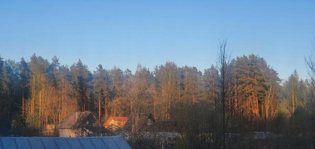 Village in Forest Camper Parking Space