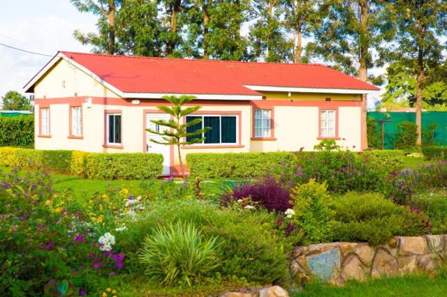 Serene Evergreen Haven