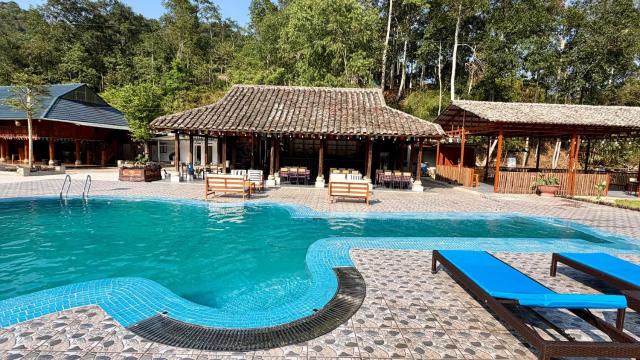 Loop Tribe Hostel